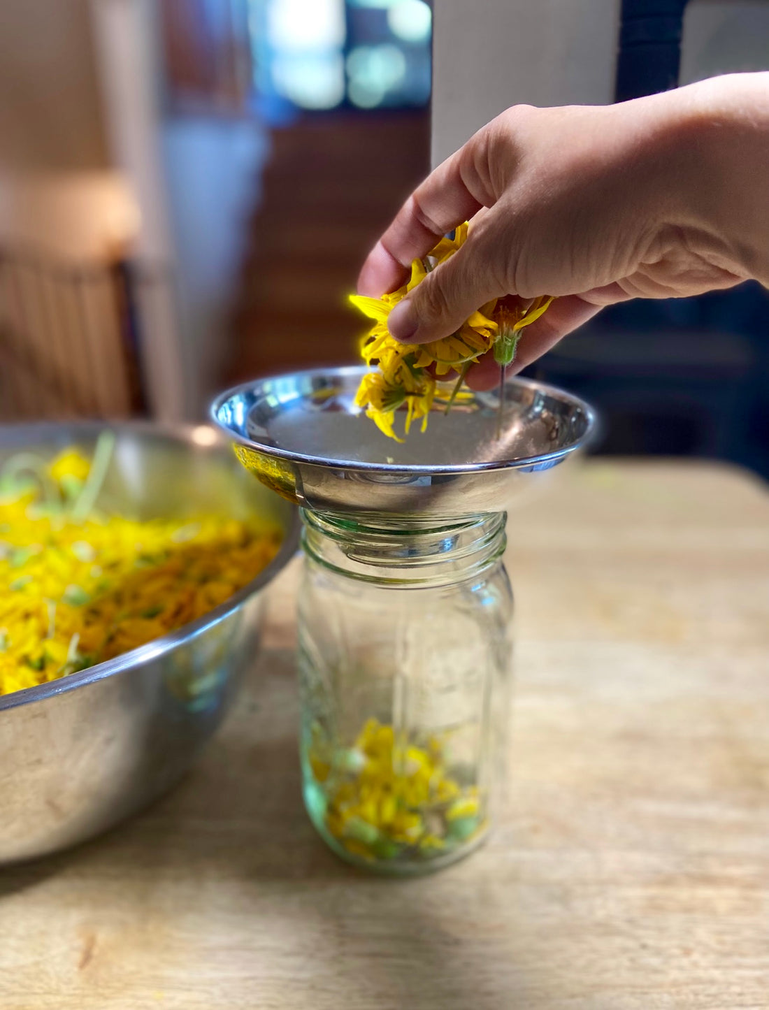 How to make arnica oil { and a little bit about our harvest day }