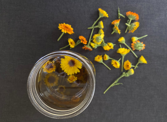 Making calendula oil from our garden { and our daily calendula ritual }